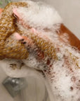 Cocoa Moringa Body Wash