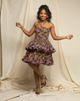 Ameena Central Park Picnic Dress