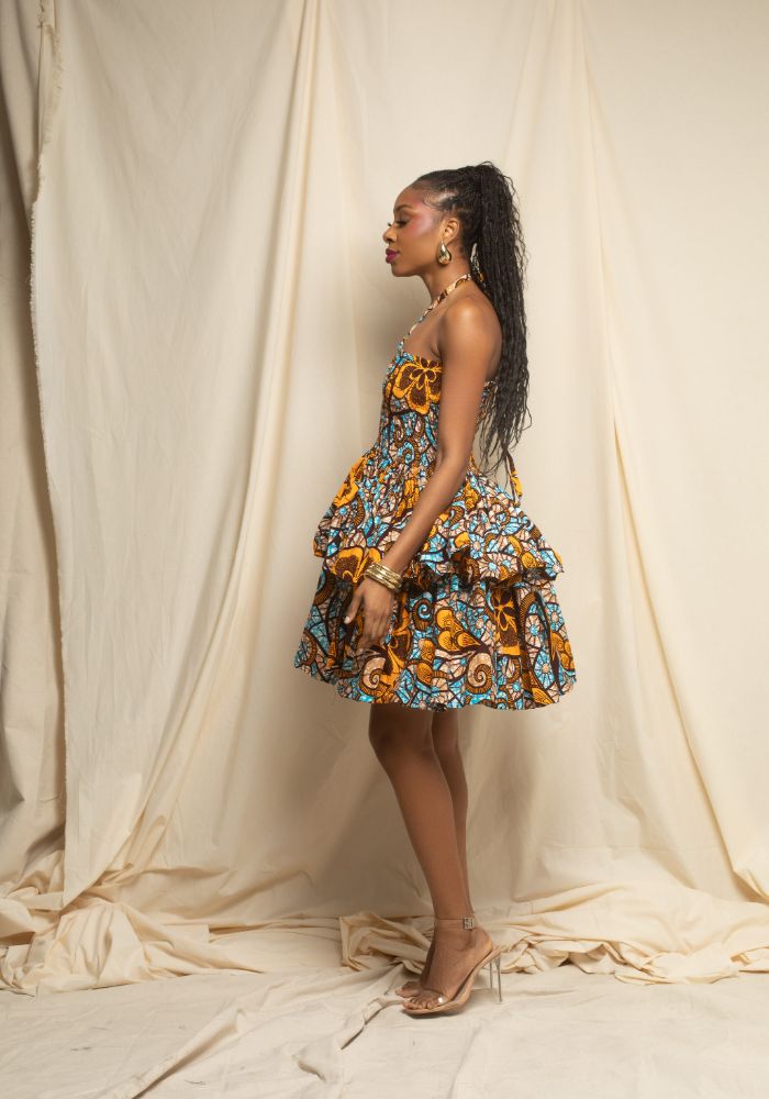 Gyasi Central Park Picnic Dress 2X