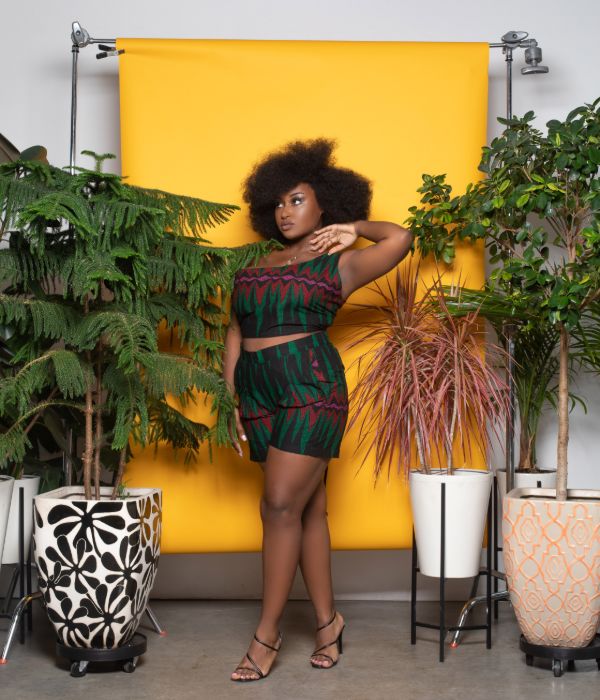 Jania High Waisted Shorts 2X