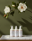 Queen Body Silk Trio Bundle