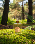 Arandale Dry Body Oil
